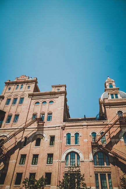 텍사스에서 변호사와 변호사의 차이점