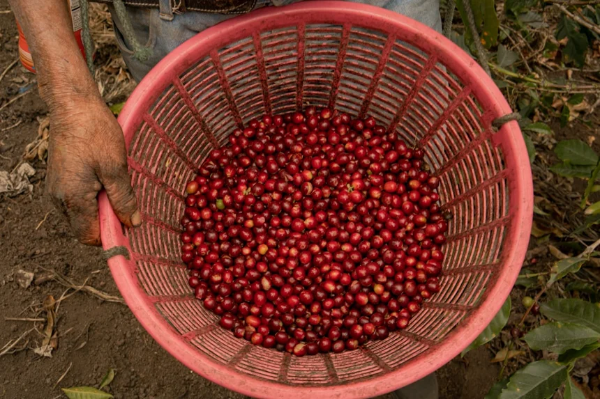 Fair Trade
