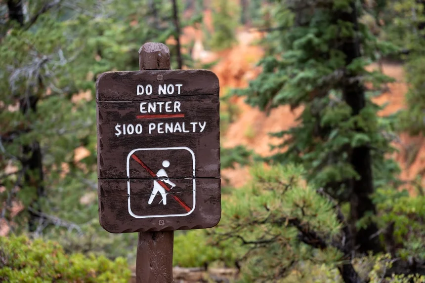 노동법 벌칙 규정 알아보기 핵심 포인트